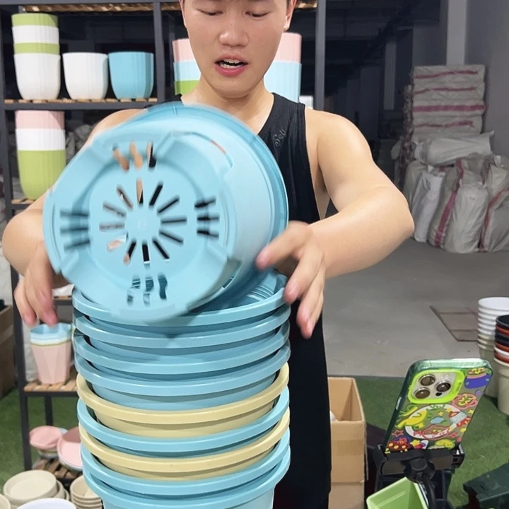 圆形控根口21高21混色无托10只