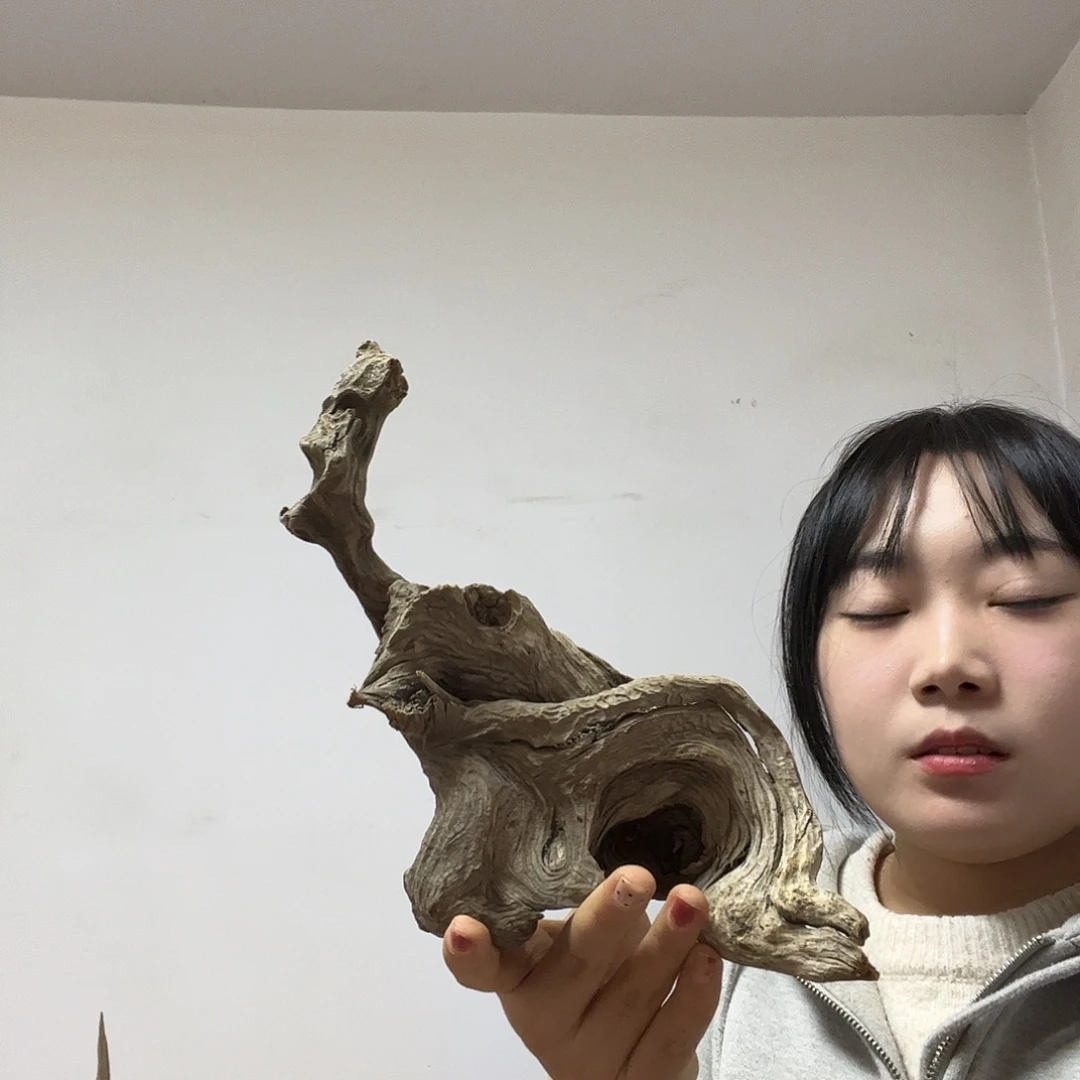 军***柏木却又是一个人的生活方式