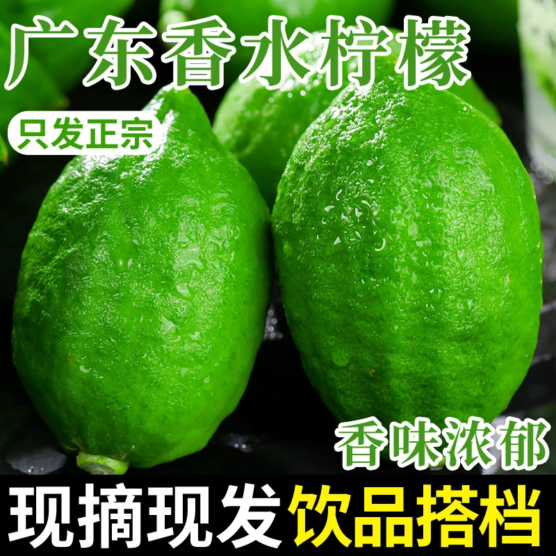 正宗广东香水柠檬新鲜香柠檬暴打鸭屎香精选奶茶店专用现摘现发