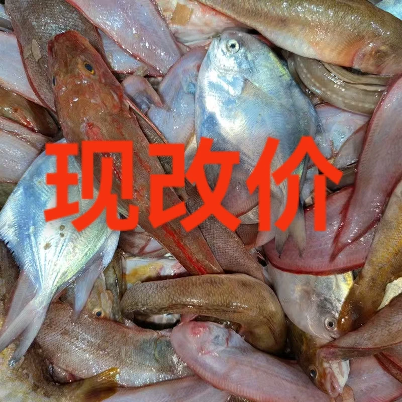 新鲜的海杂鱼 没有杂刺碎刺 肉质细腻鲜嫩 适合小孩老人吃 8斤装