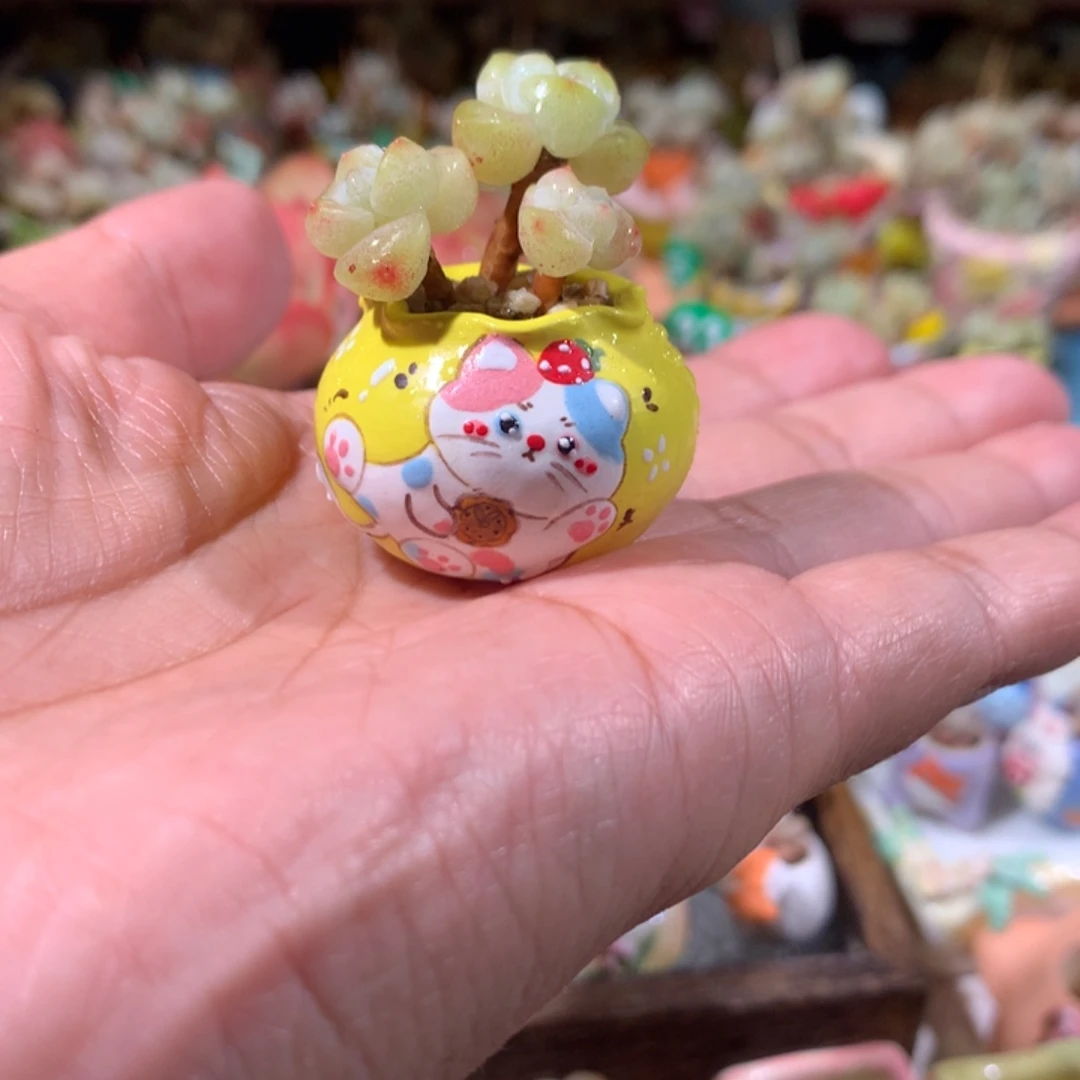 盆内口2   满100包邮