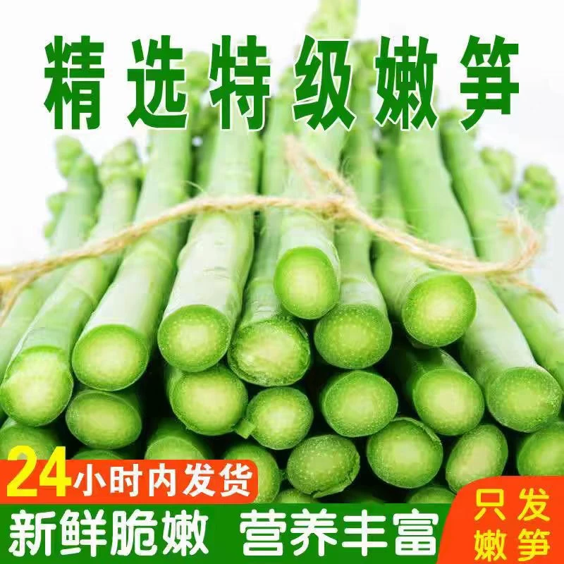 特大芦笋 自家农场 现采现发