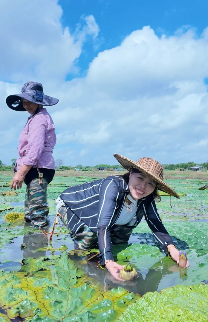苏州特产车坊鸡头米(颗颗手拨)2斤起售卖贵在运费