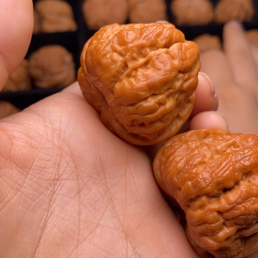 文玩核桃把件秦岭野生核桃