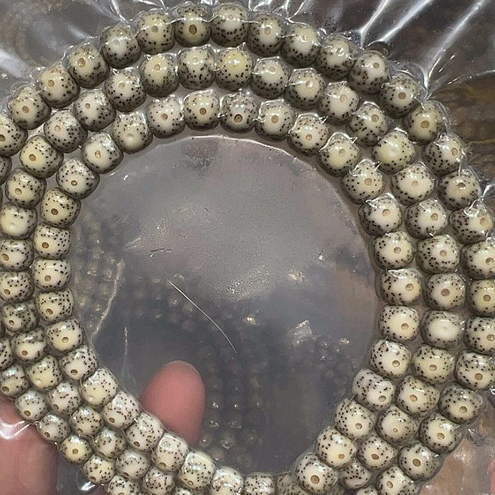 手串星月菩提海南原生态7/8黄金瞳大眼睛