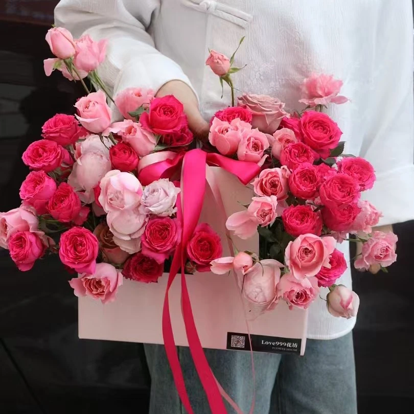 苏菲宝贝跟仙子之吻的相融