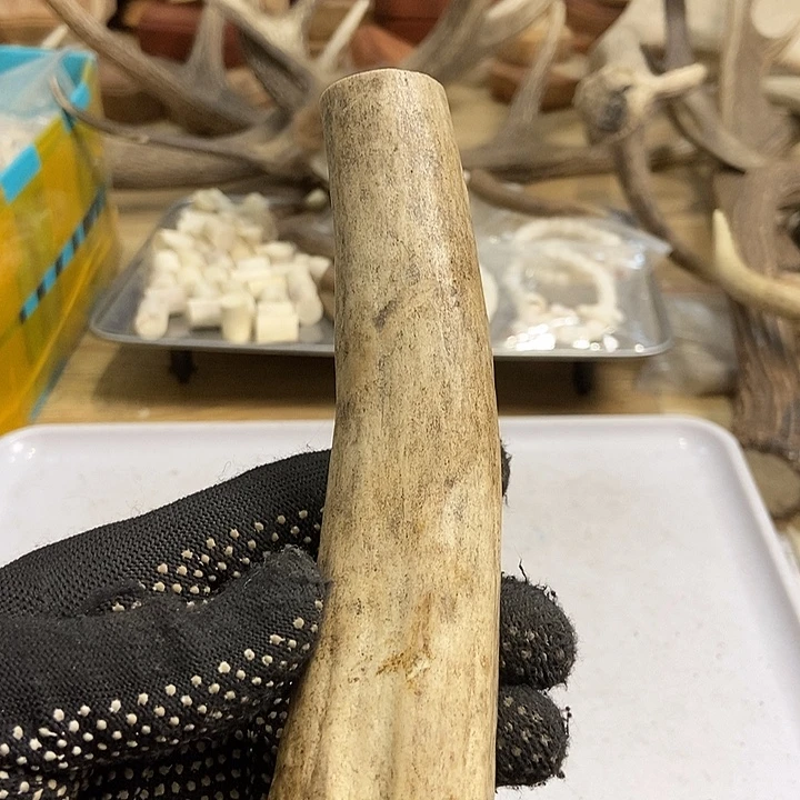 我***哥大叶紫檀（黑酸枝木类）