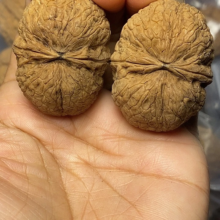 文玩核桃把件云南铁核桃16