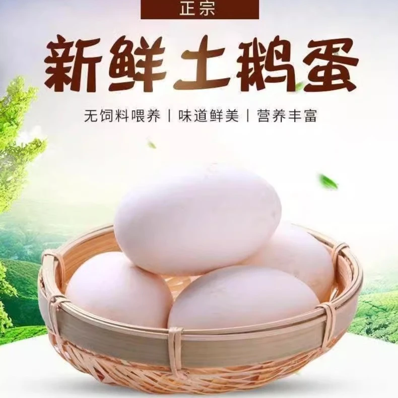 200左右 顺丰包邮新鲜鹅蛋孕妇农家散养土鹅蛋正宗特产大鹅蛋