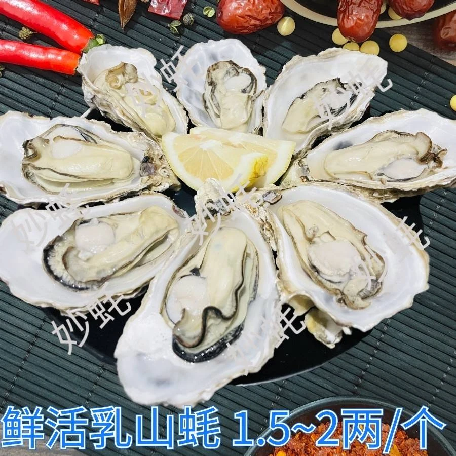 清蒸生蚝10个（单个约75~100g配芥末蘸水）