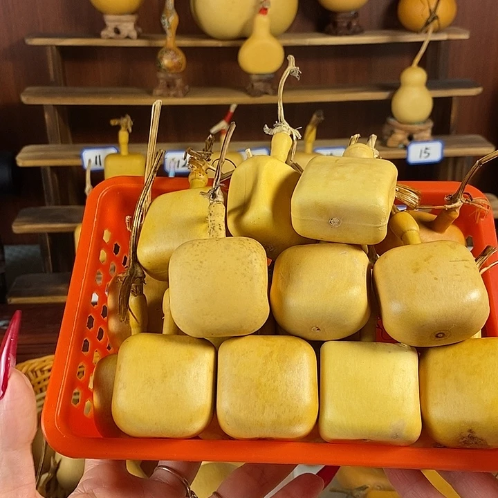 哇***呀不要太过执着就不要去在意你
