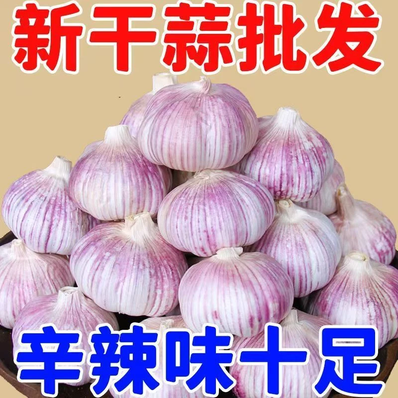 干蒜大蒜头紫白皮干蒜辛辣提香厨房必备5斤