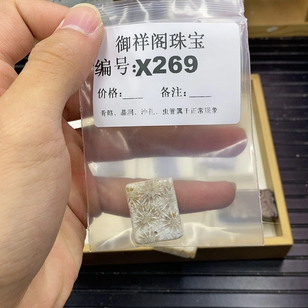 硅化珊瑚（珊瑚玉）未镶嵌颈饰山**月