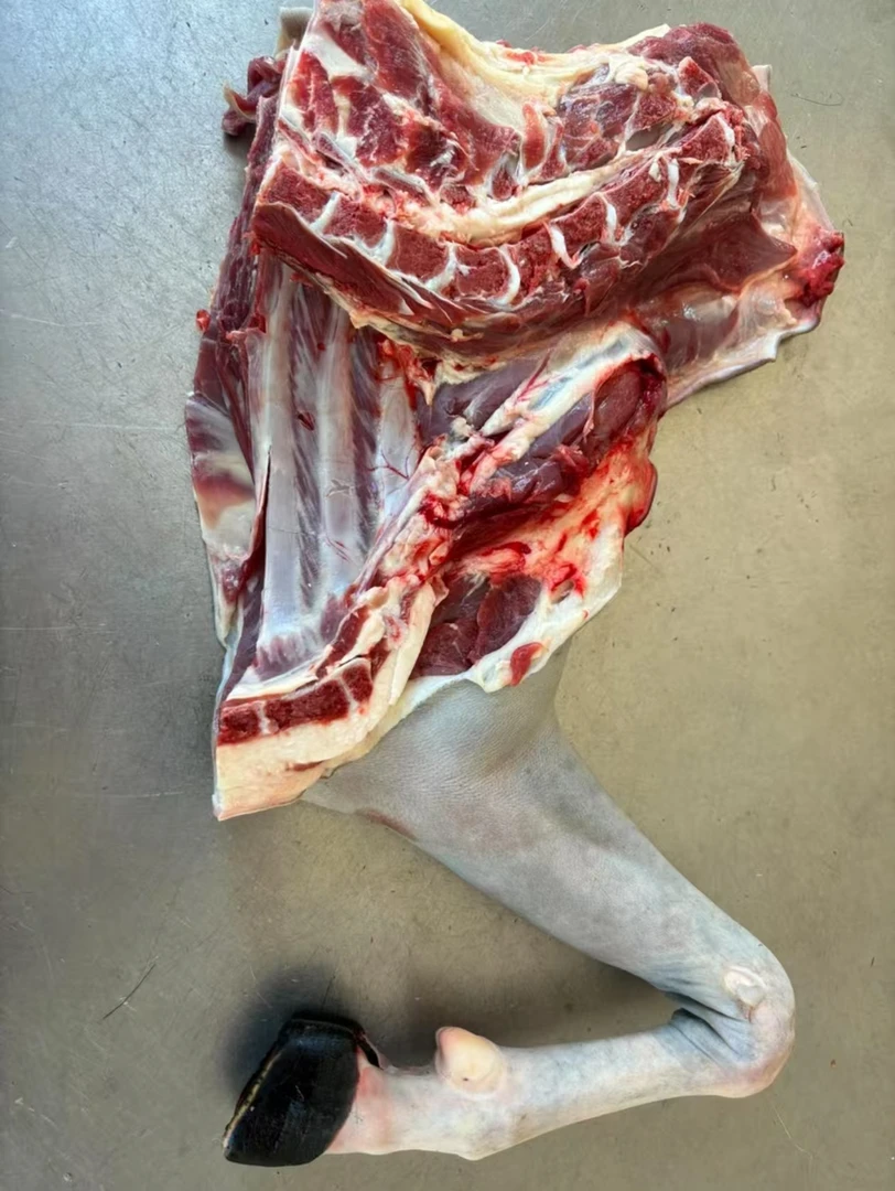 乡村新鲜小耳朵黑山羊肉