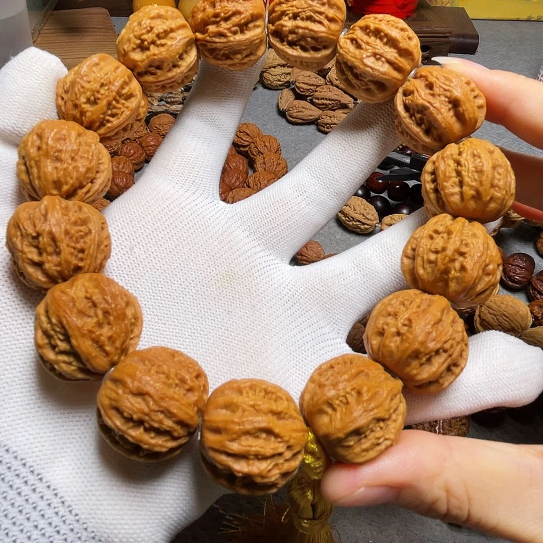 核桃粗筋霸王龙手持
