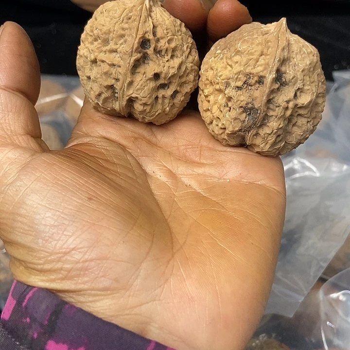 把件文玩核桃云南铁核桃基地84