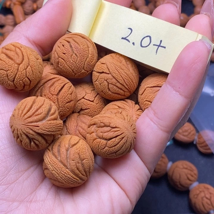 秦岭龙纹桃核13颗