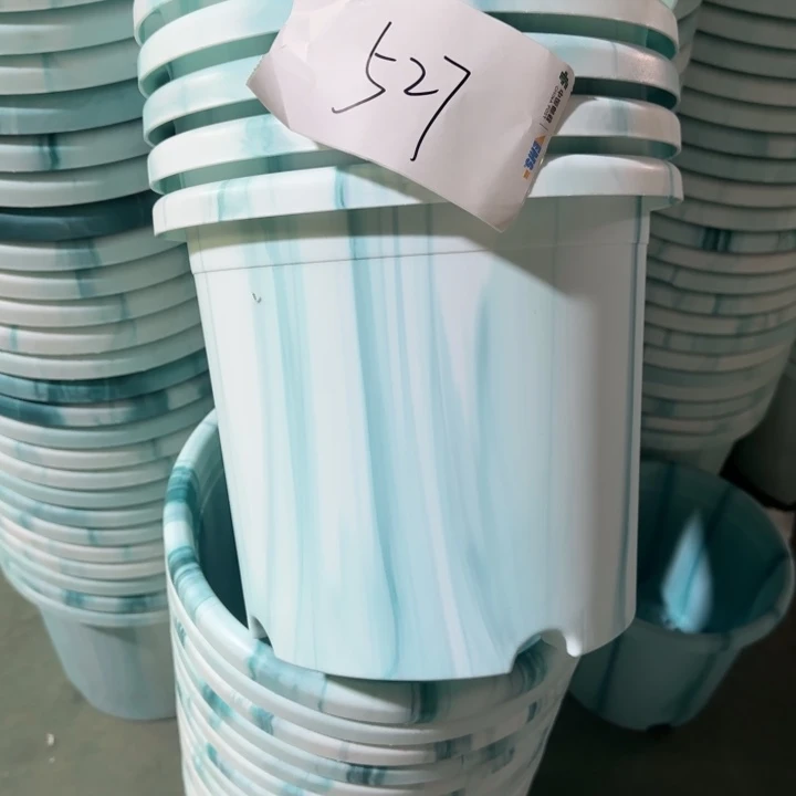 编号527——5个口径29串色