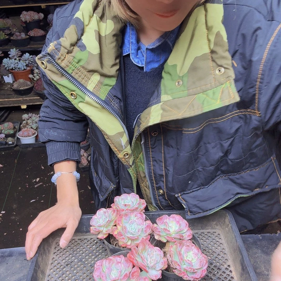 穿***冰014三个雨滴一物一拍