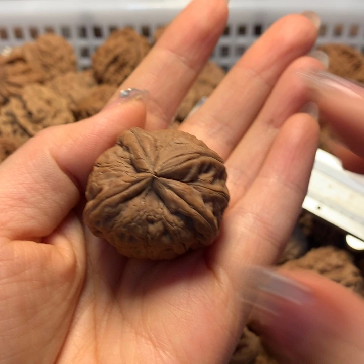晨***曦文玩核桃吊坠核桃