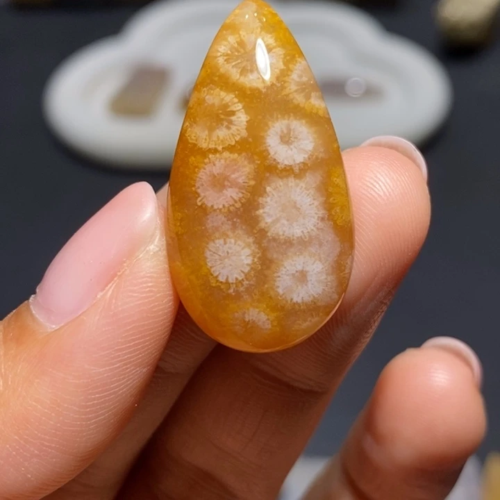 【闪购商品】未镶嵌珊瑚玉硅化玉