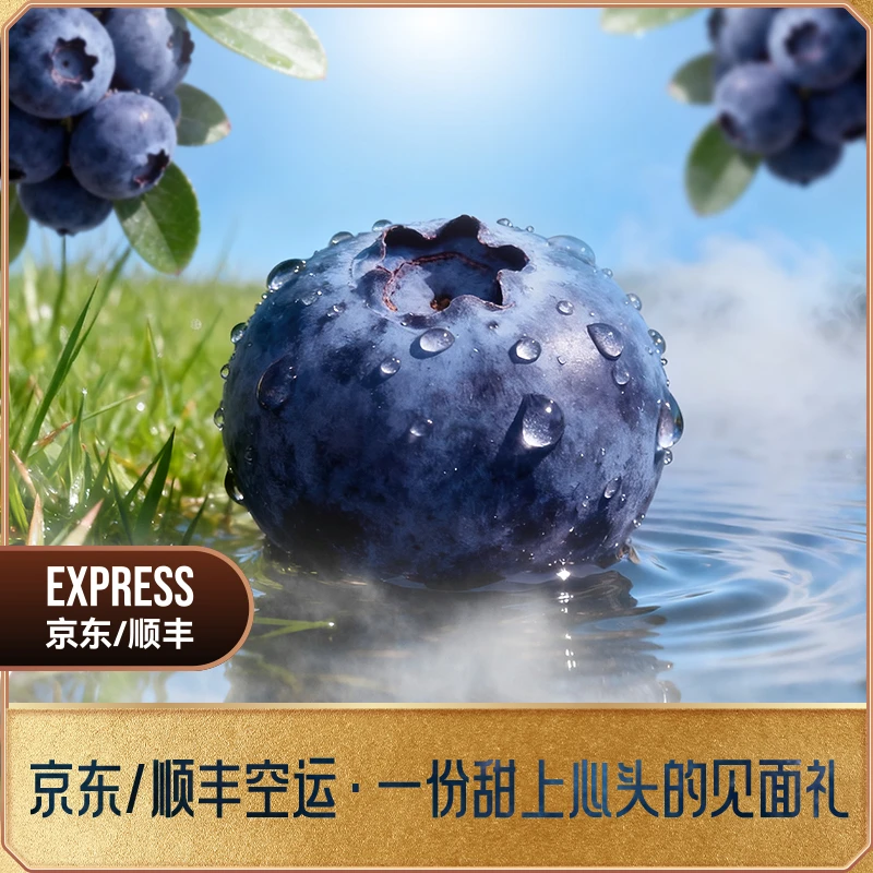 【次日达正宗花香蓝莓】云南高山25脆爽甜花香浓郁爆汁脆甜云南省