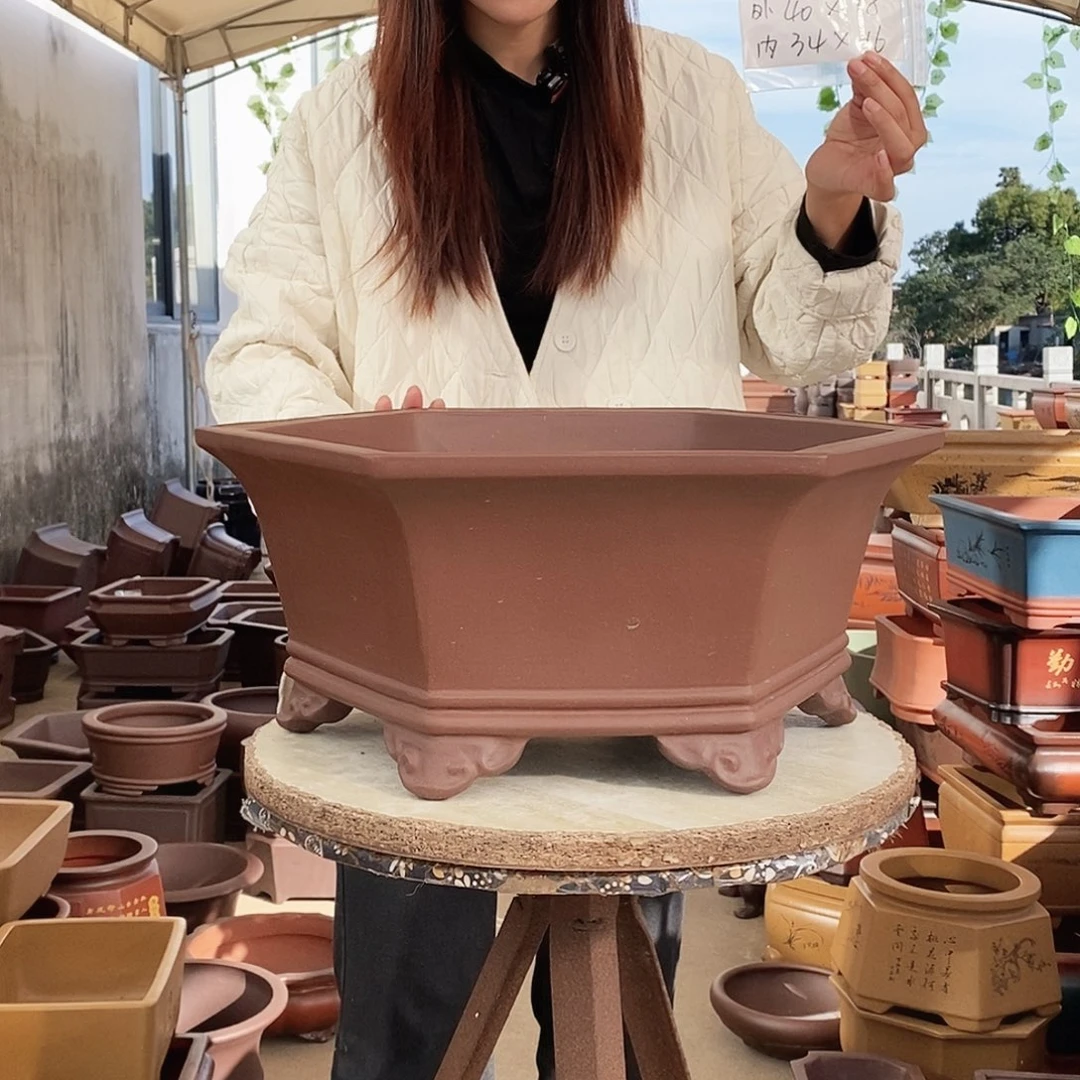 紫砂花盆紫砂花盆