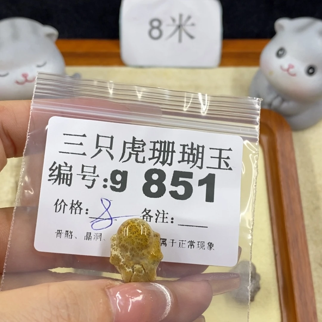 硅化珊瑚（珊瑚玉）未镶嵌1潮*