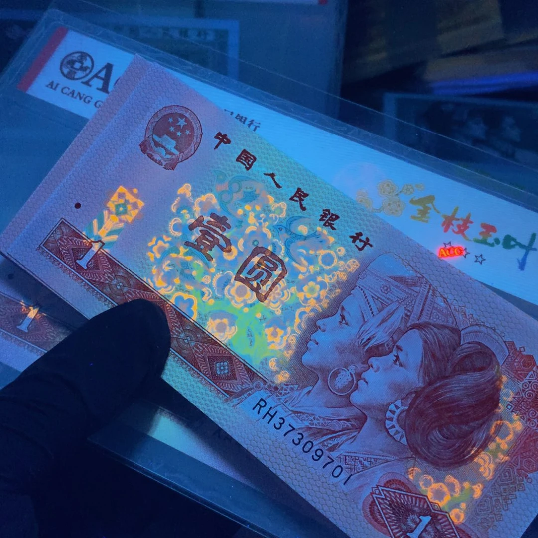 淡***菊RH37309701一刀801