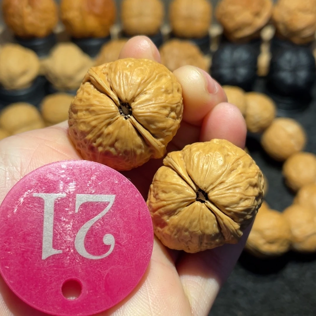 胖头鱼核桃31。