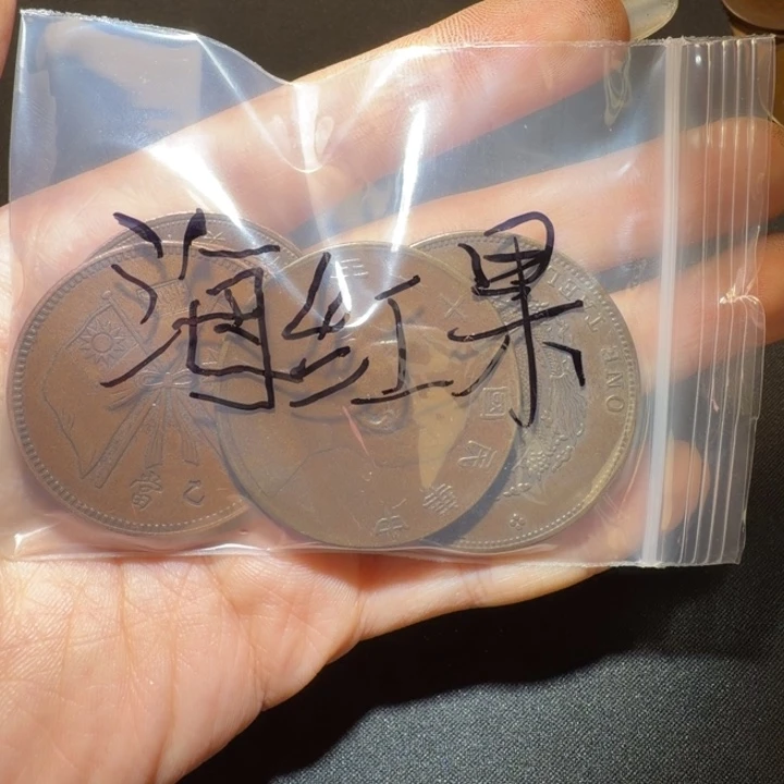 海***果两枚工艺品铜币摆件