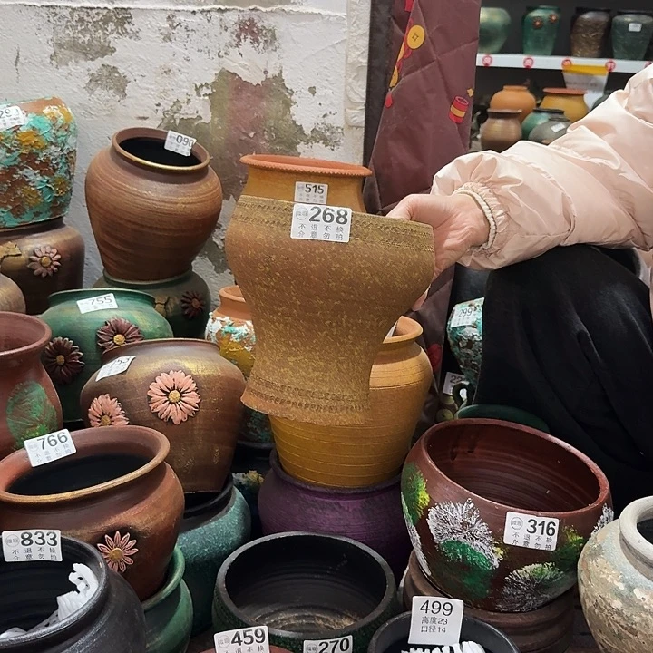 黄色鱼尾268高度20口径18