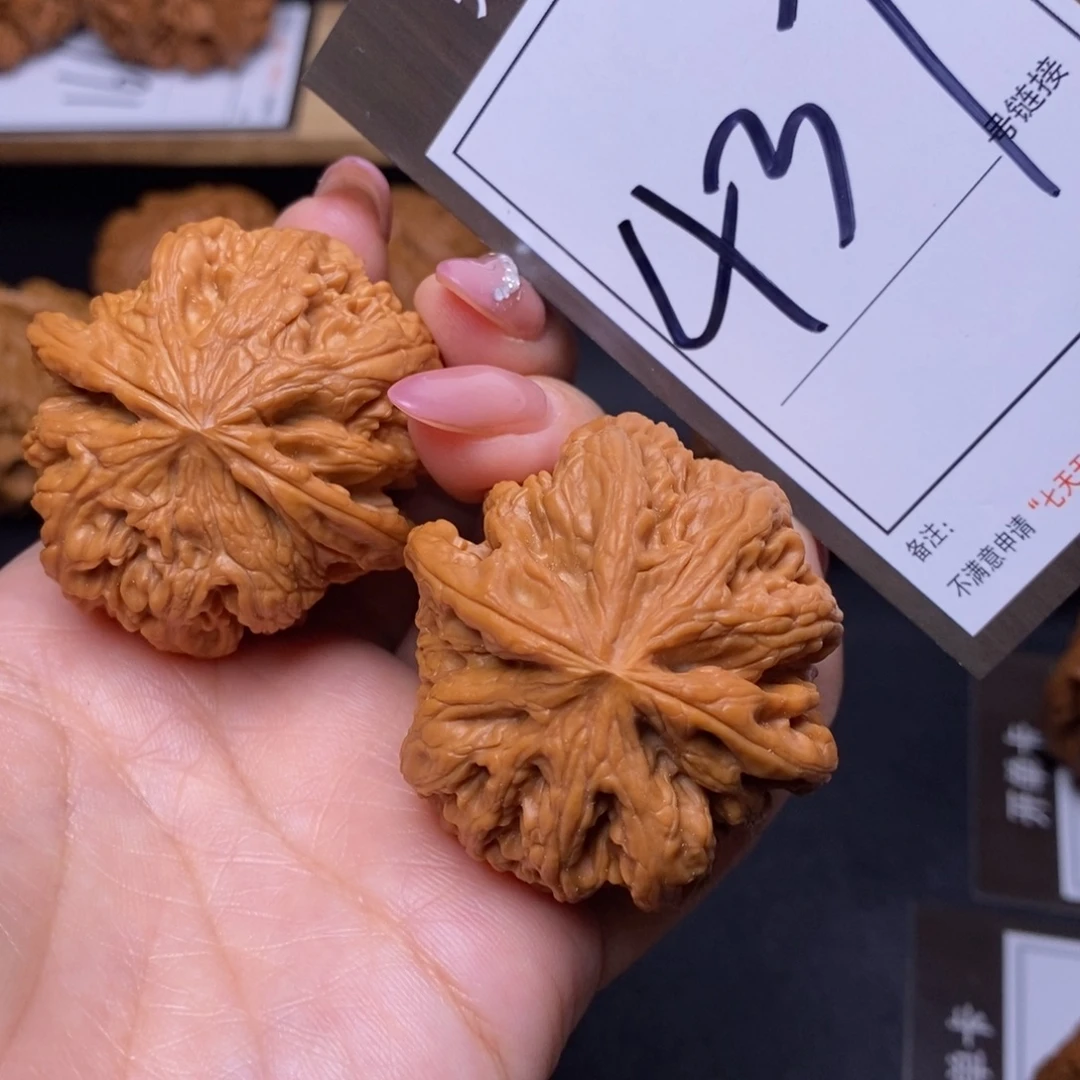 文玩核桃把件43大粗筋437