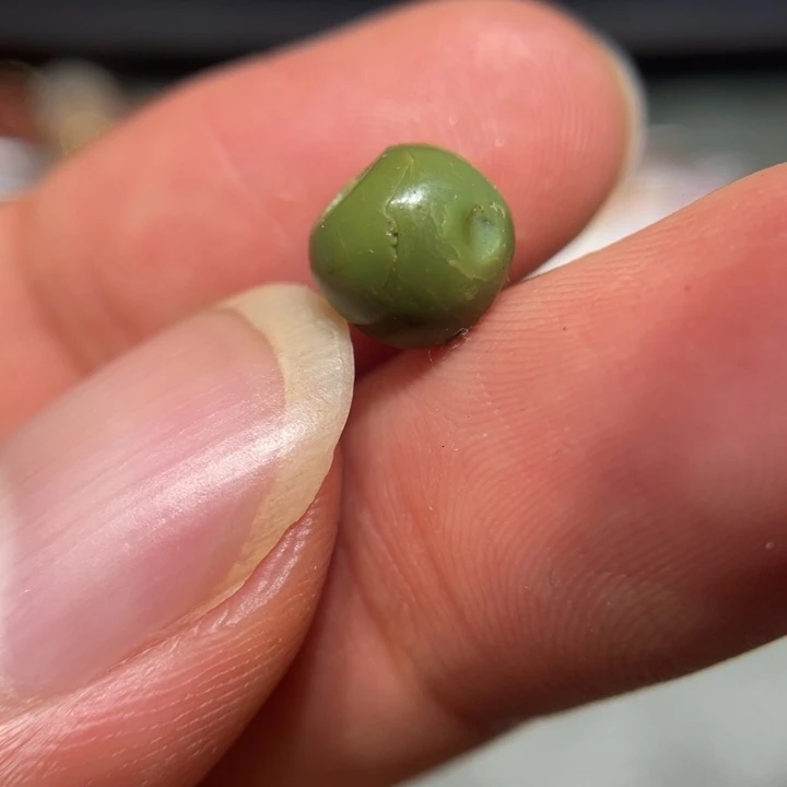 库克吊坠6666666666666