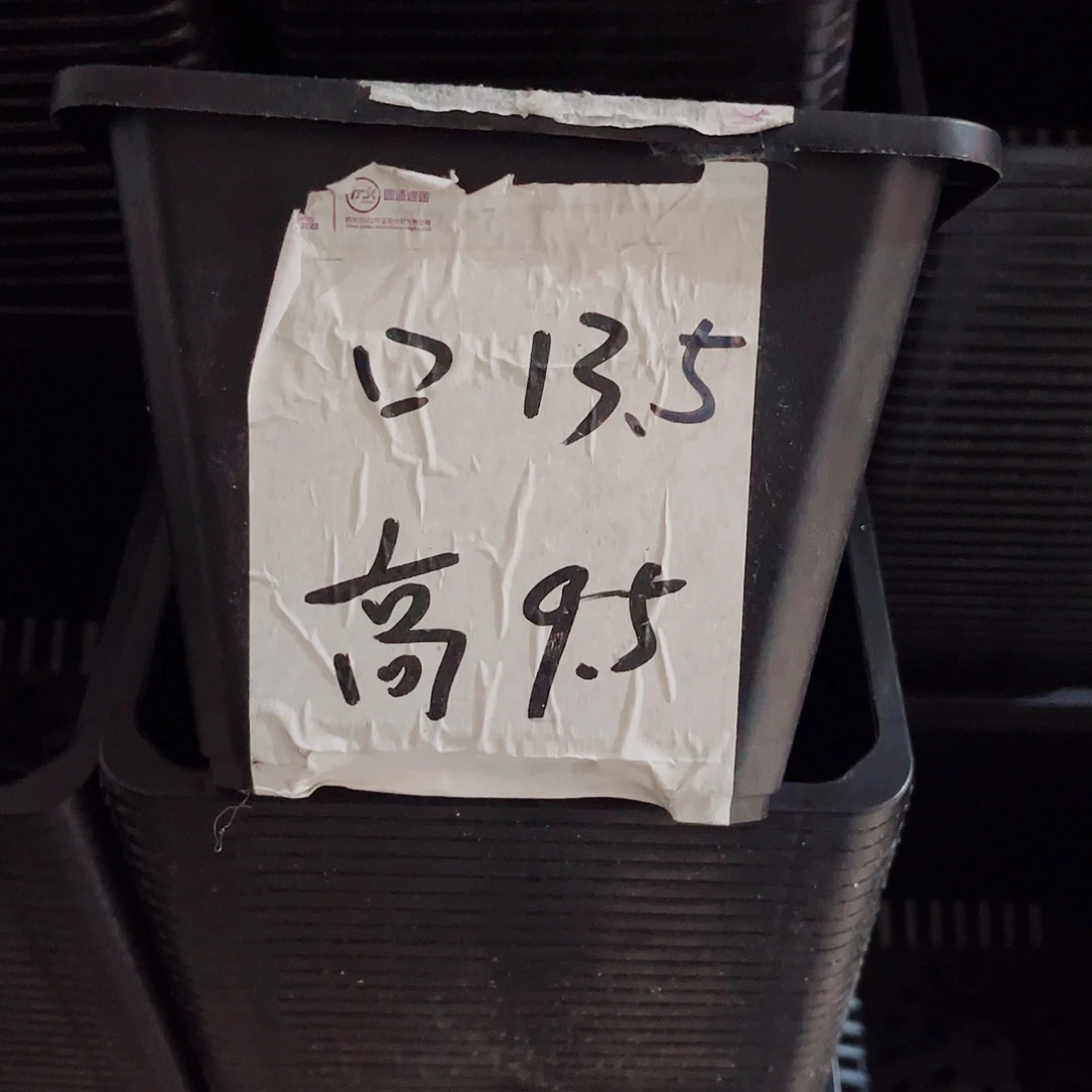 中厚口13高10黑色20个无托