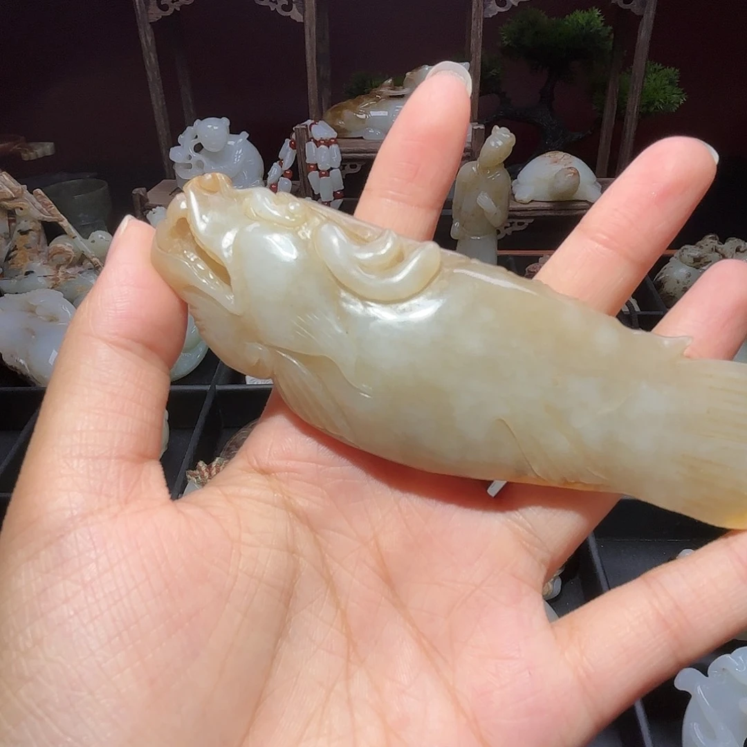 缸一物一图 所见所得