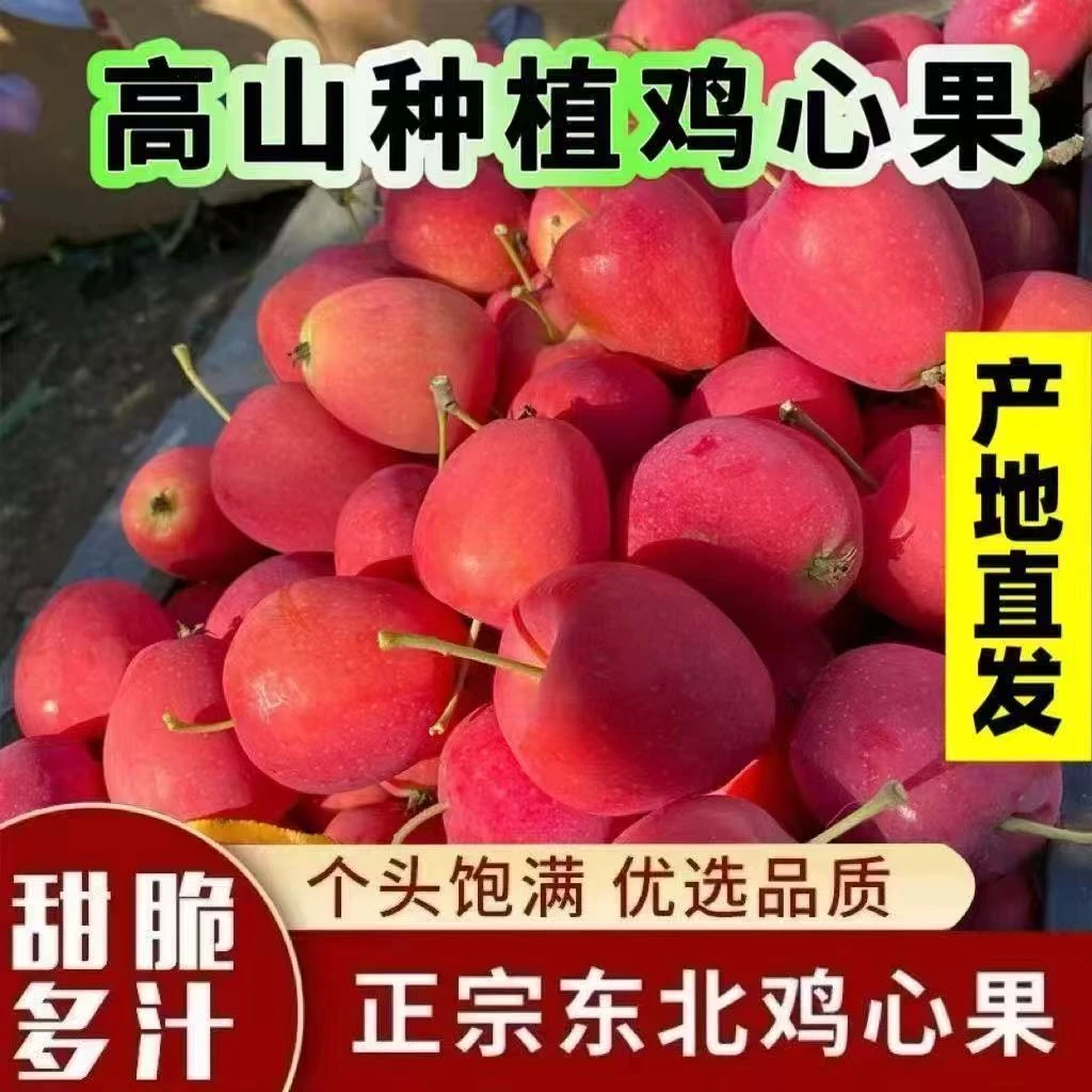 【正宗甜脆鸡心果】东北辽宁产地直发脆甜多汁新鲜采摘