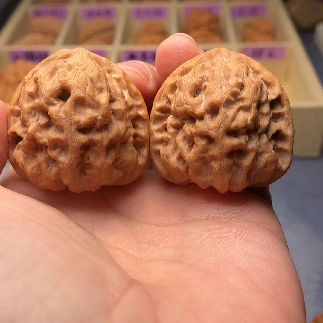 文玩核桃把件野生祥云狮子头43（头货精品