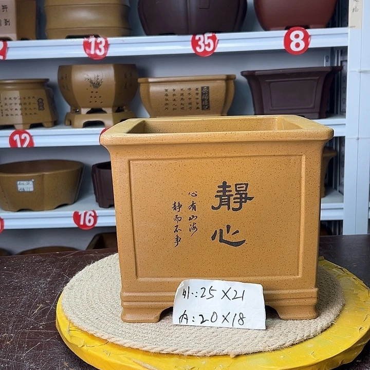 紫砂花盆你在一起