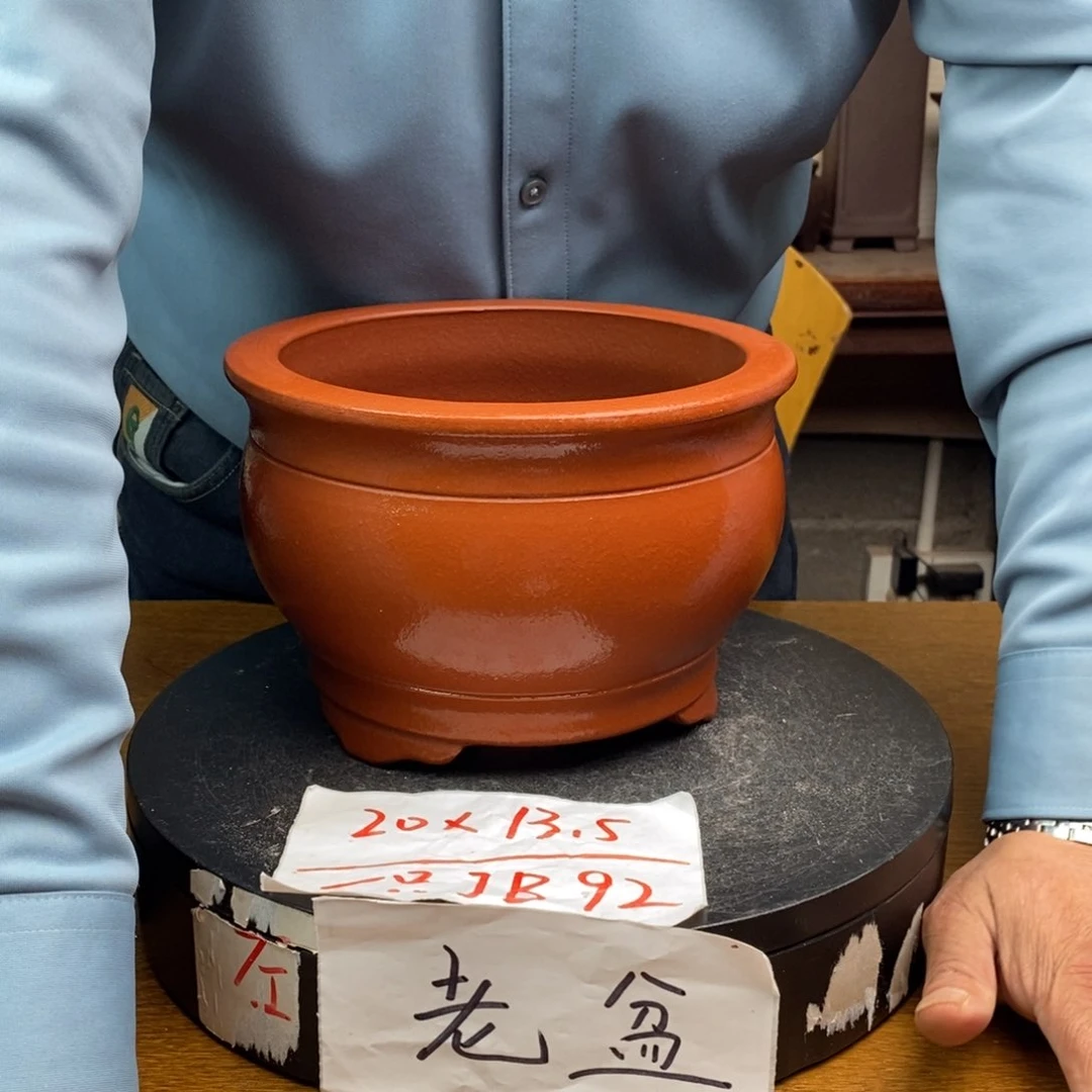 红陶货号一只JB92