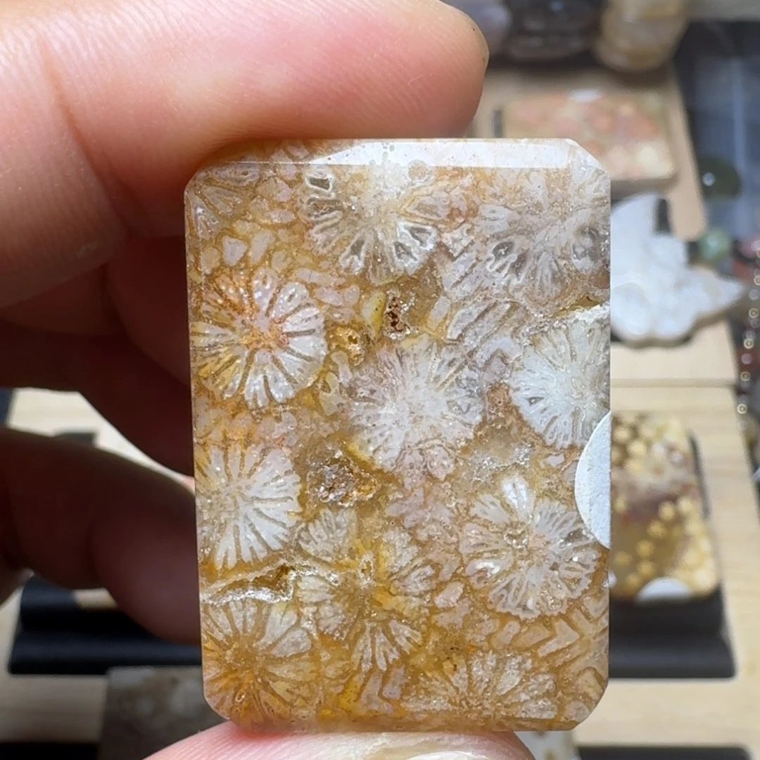 未镶嵌纯天然色有机玉石保真色硅化玉