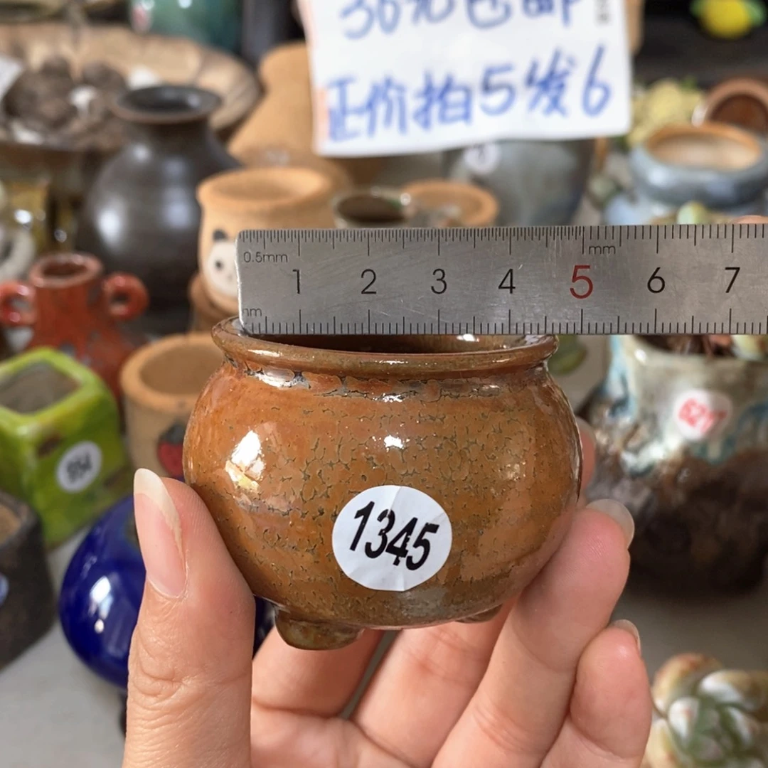 拍5送一个小礼物