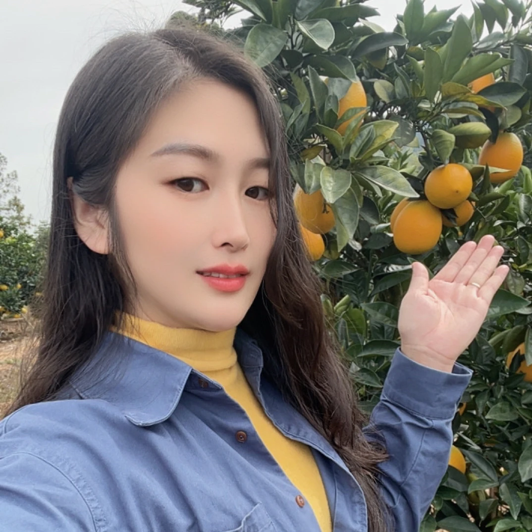 正宗赣南脐橙果园直供