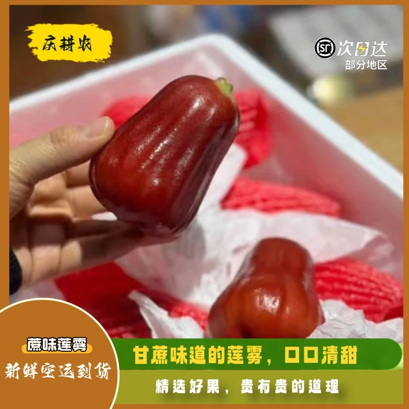 蔗味莲雾新鲜应季清甜脆爽多汁热带水果【顺丰包邮】