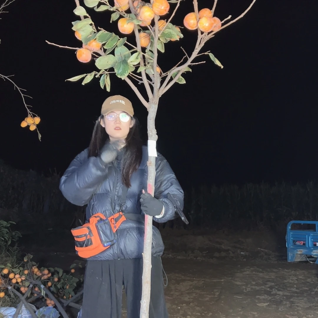 秂***千柿子树柿子树柿子树