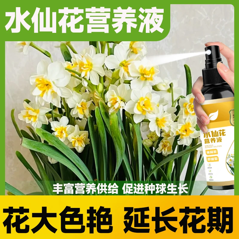 水仙花水培植物通用肥料开花营养液促生根茎秆壮生根液专用矮壮素