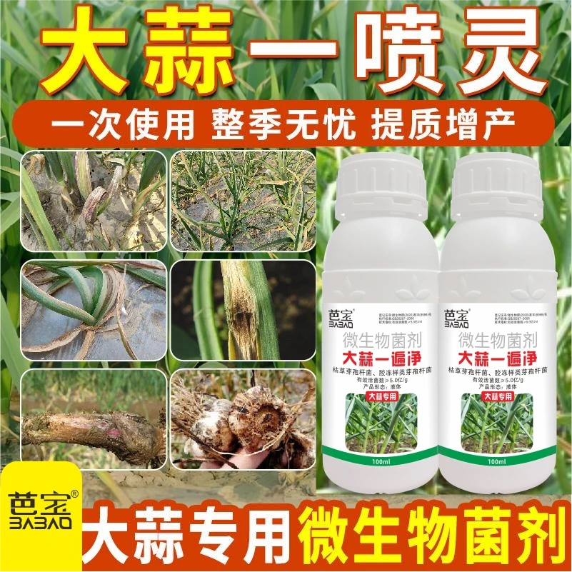 大蒜一遍净专用杀菌剂黄叶干尖叶枯紫斑锈病增产一喷灵预防保护型