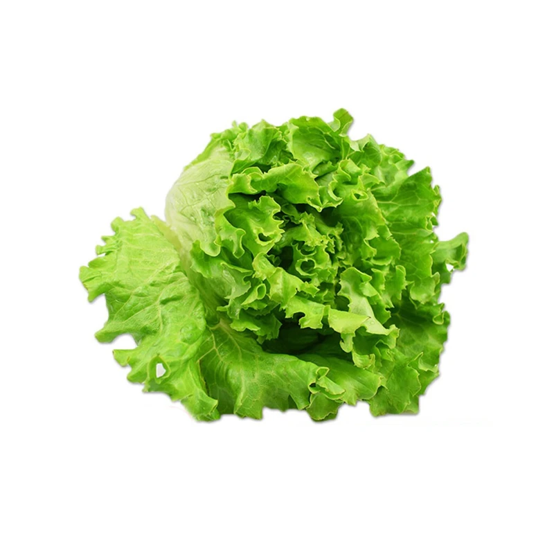 生菜(A)500g/份