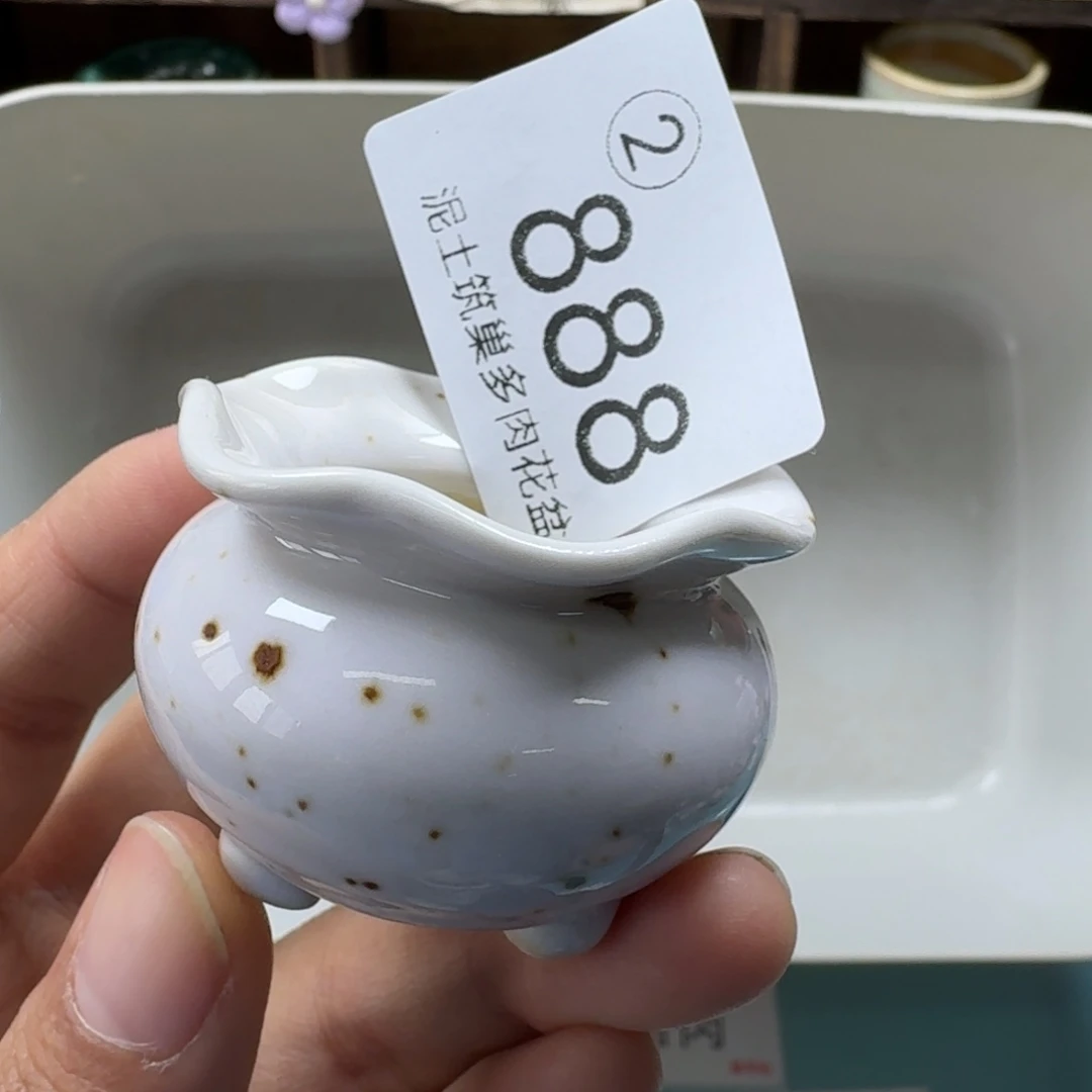 芝***花陶瓷艺术设计与制作