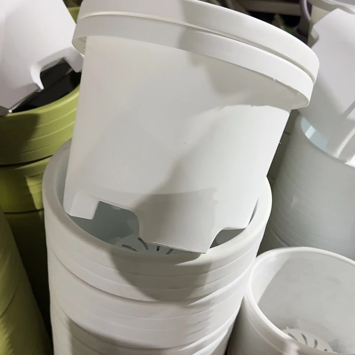 球根32口径5个无托白色